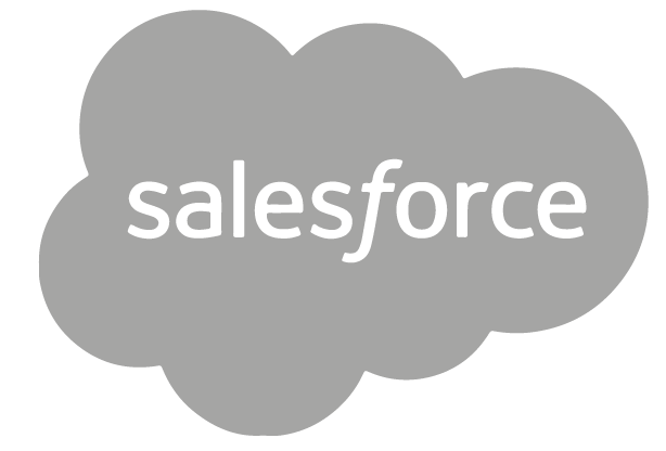 CRM Meisys - logo Salesforce